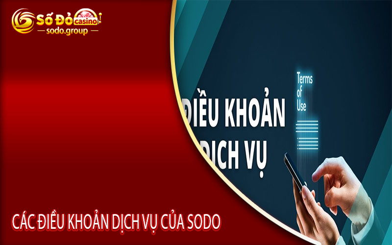 Các điều Khoản Dịch Vụ của Sodo